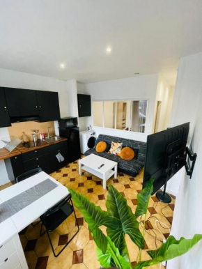 Appartement lumineux